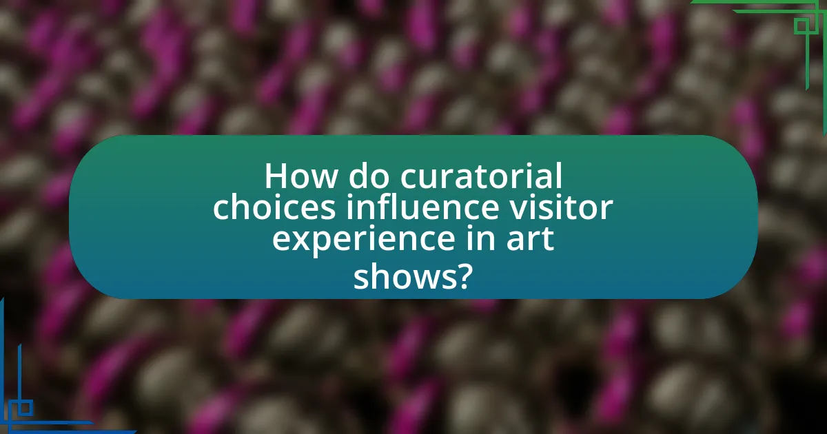 How do curatorial choices influence visitor experience in art shows?