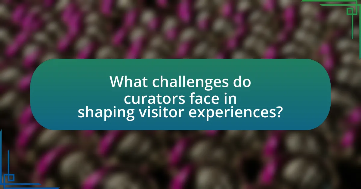 What challenges do curators face in shaping visitor experiences?